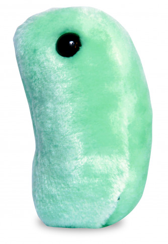 Orthomyxovirus (Flu) Giant Microbe.