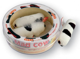 Bovine Spongiform Mad Cow Disease Mini Microbe Set