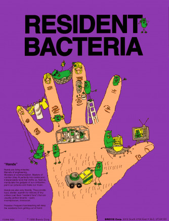 Resident Bacteria (front) Transient Bacteria (back) Poster