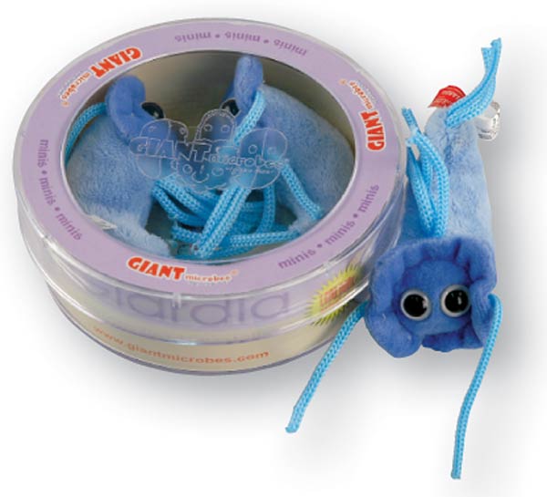 giant microbes giardia