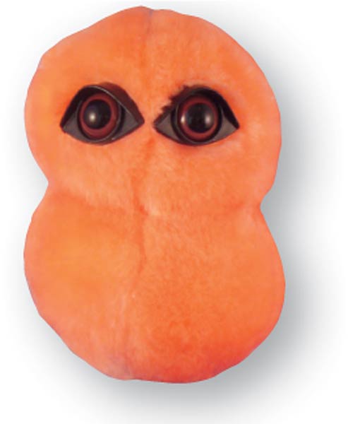 Giant bacteria plush online