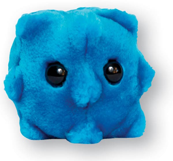 common cold plush