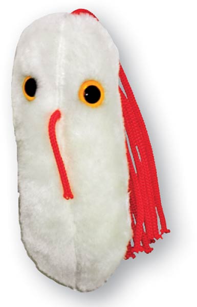 Giant microbes deals salmonella