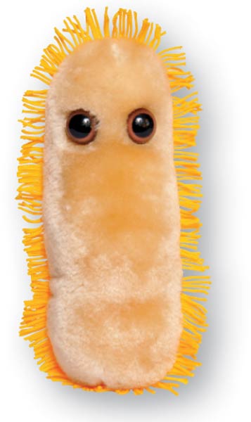 giant microbes stomach ache