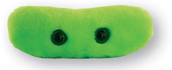 giant microbes tuberculosis