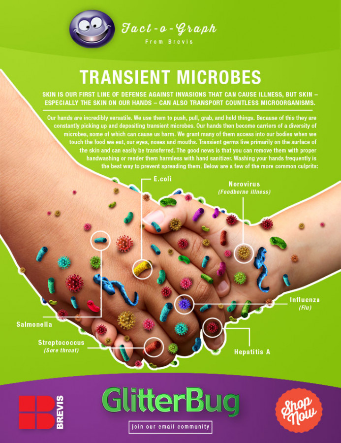 FREE Resources Brevis   Factographtransientmicrobes 